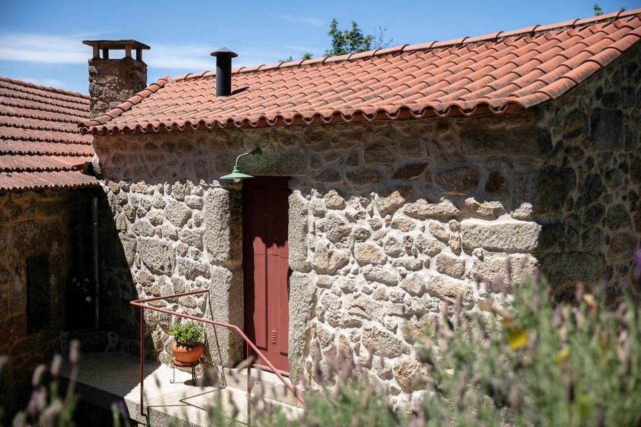 Vila Tracos D'Outrora Vale de Cambra Exteriér fotografie